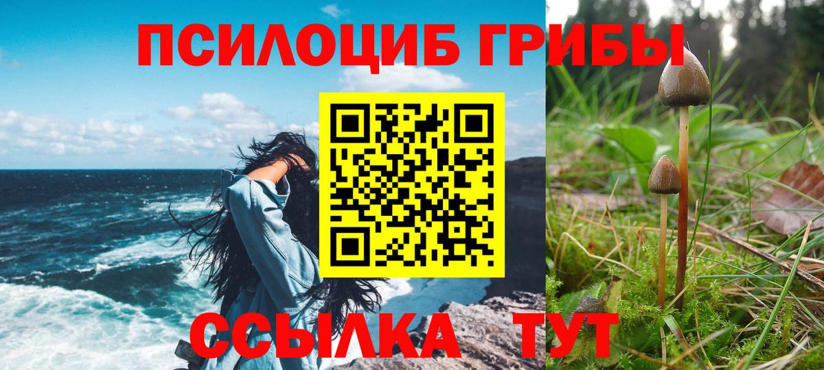 Алексеевка  Галлюциногенные грибы мицелий  Вход с VPN 