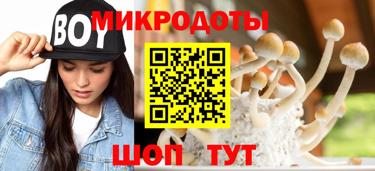 Галлюциногенные грибы GOLDEN TEACHER Алексеевка